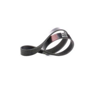 V Ribbed Belt - RIDEX 305P0194