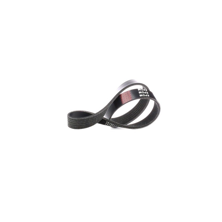 V Ribbed Belt - RIDEX 305P0194