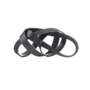 V Ribbed Belt - RIDEX 305P0344