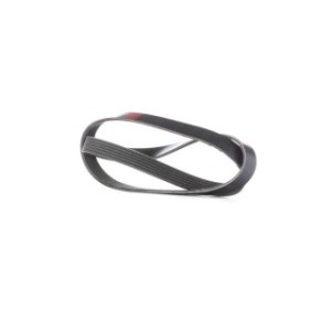 V Ribbed Belt - RIDEX 305P0242
