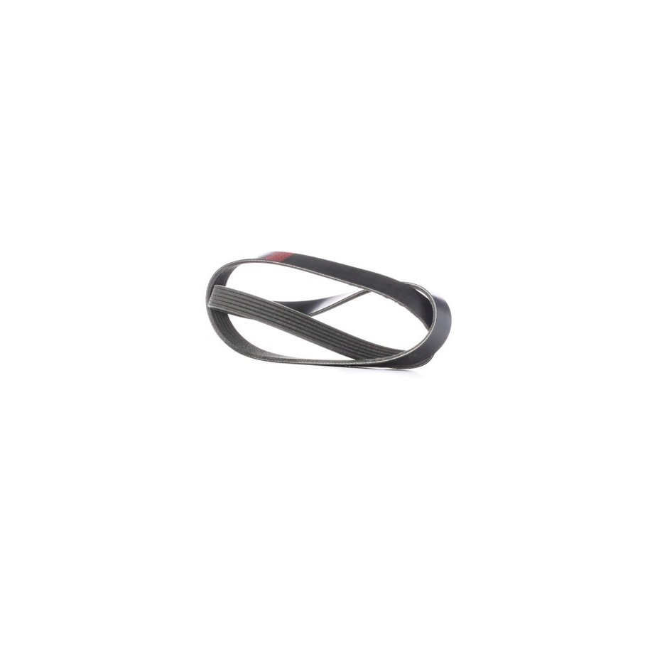 V Ribbed Belt - RIDEX 305P0242