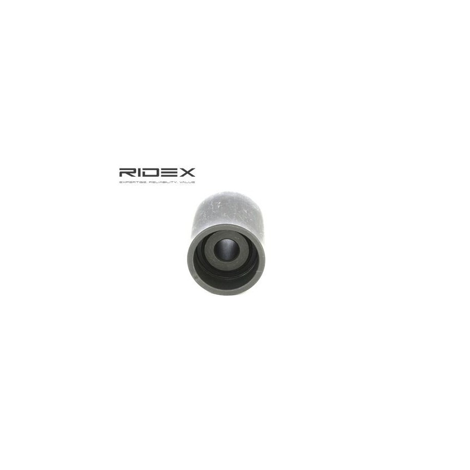 Timing Belt Deflection Guide Pulley - RIDEX 313D0103