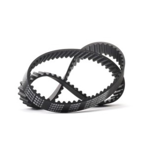 Timing Belt - RIDEX 306T0125