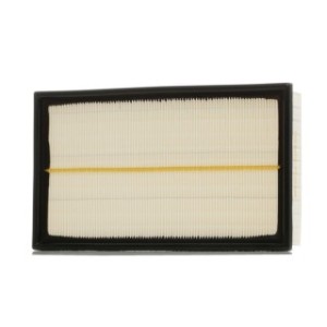 Air Filter - RIDEX 8A0528