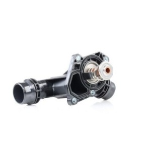 Coolant Thermostat - RIDEX 316T0042
