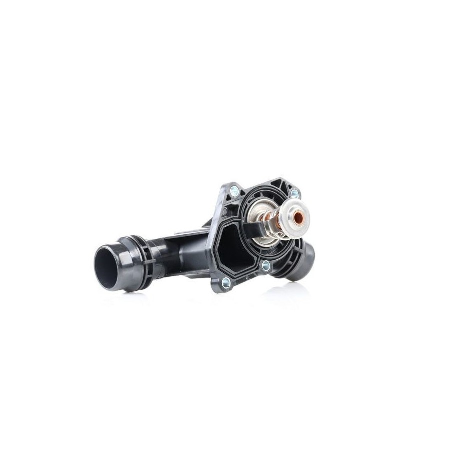 Coolant Thermostat - RIDEX 316T0042