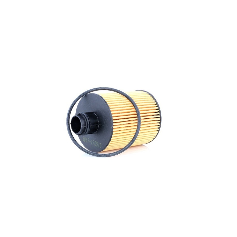 Oil Filter - RIDEX 7O0097