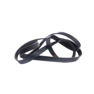 V Ribbed Belt - RIDEX 305P0350