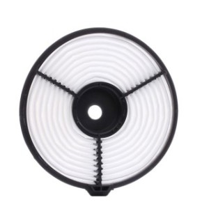 Air Filter - RIDEX 8A0206