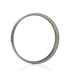 ABS Sensor Ring - RIDEX 2254S0006