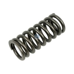 Valve Spring DIESEL TECHNIC 1.10780  OE 1307115