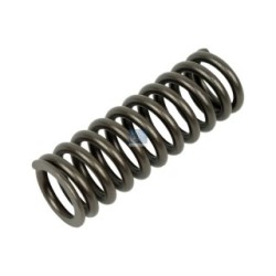 Valve Spring DIESEL TECHNIC 1.10781  OE 1307117