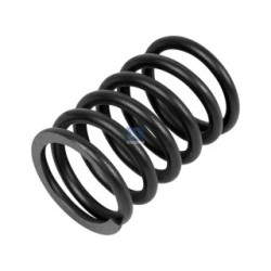 Valve Spring DIESEL TECHNIC 2.10013  OE 467334