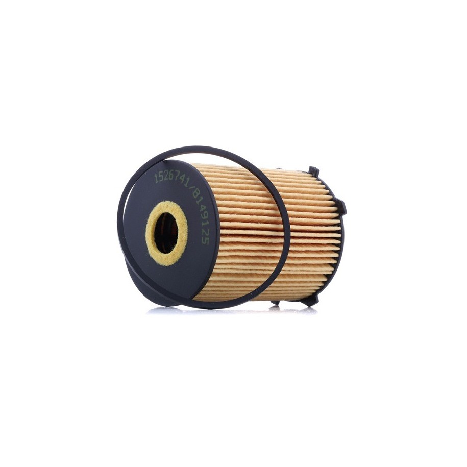 Oil Filter - RIDEX 7O0013