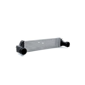Intercooler - RIDEX 468I0020