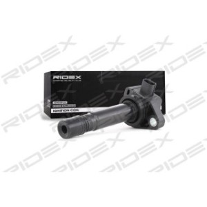 Ignition Coil - RIDEX 689C0189