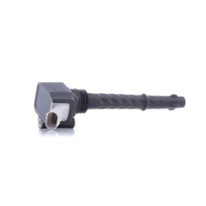 Ignition Coil - RIDEX 689C0015