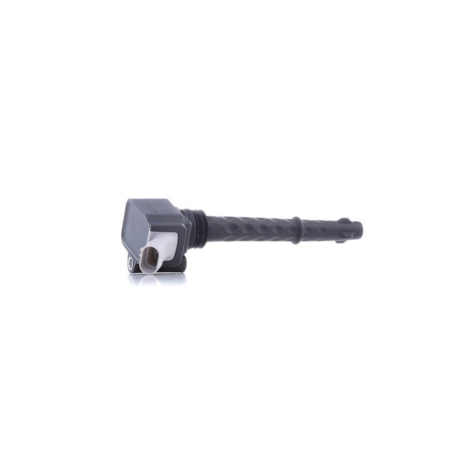 Ignition Coil - RIDEX 689C0015