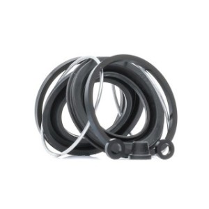 Brake Caliper Seal Kit - RIDEX 405R0005