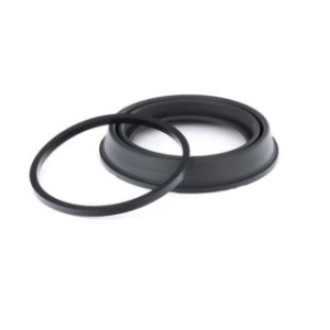 Brake Caliper Seal Kit - RIDEX 405R0025