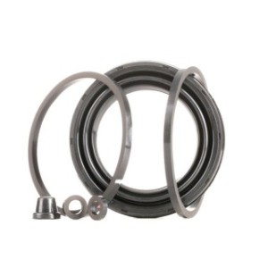 Brake Caliper Kit - RIDEX 405R0089