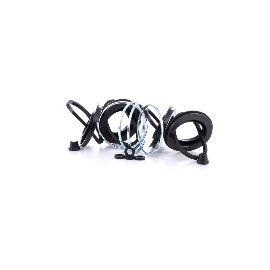 Brake Caliper Kit - RIDEX 405R0058