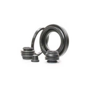 Brake Caliper Kit - RIDEX 405R0069