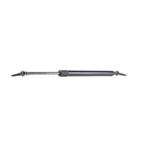 Tailgate Strut - RIDEX 219G0222