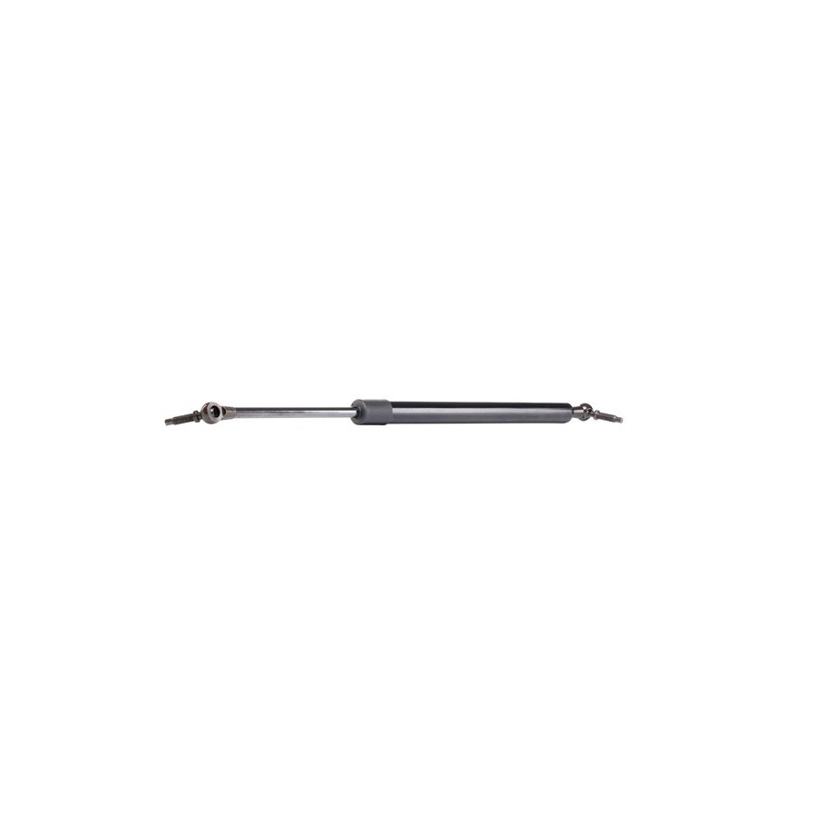 Tailgate Strut - RIDEX 219G0222