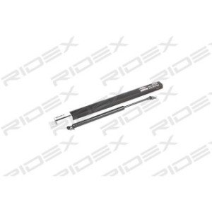Tailgate Strut - RIDEX 219G0222