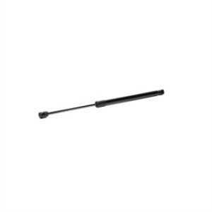 Tailgate Strut - RIDEX 219G0126