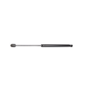 Tailgate Strut - RIDEX 219G0101