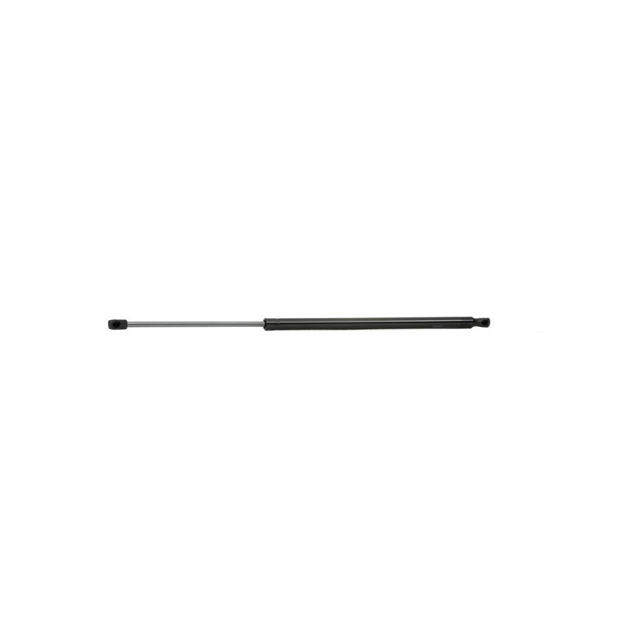 Tailgate Strut - RIDEX 219G0299