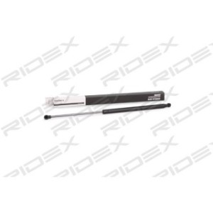 Tailgate Strut - RIDEX 219G0329