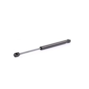 Tailgate Strut - RIDEX 219G0177