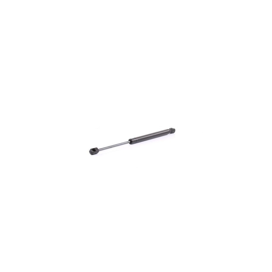 Tailgate Strut - RIDEX 219G0177