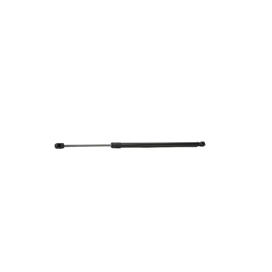 Tailgate Strut - RIDEX 219G0287