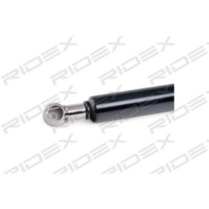 Tailgate Strut - RIDEX 219G0301