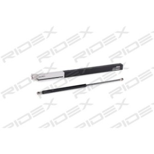Tailgate Strut - RIDEX 219G0301