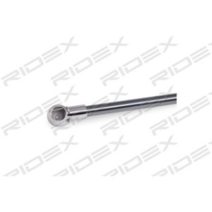 Tailgate Strut - RIDEX 219G0301
