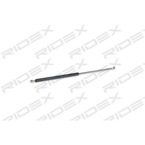 Tailgate Strut - RIDEX 219G0301