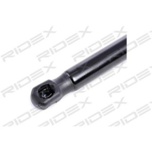 Tailgate Strut - RIDEX 219G0160