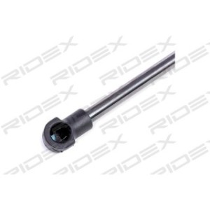 Tailgate Strut - RIDEX 219G0160