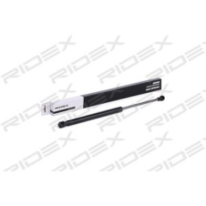 Tailgate Strut - RIDEX 219G0160