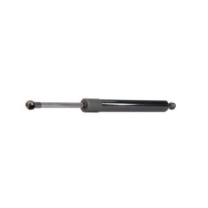 Tailgate Strut - RIDEX 219G0129
