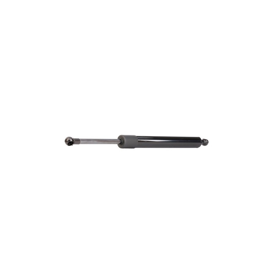 Tailgate Strut - RIDEX 219G0129