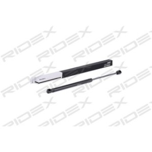 Tailgate Strut - RIDEX 219G0143