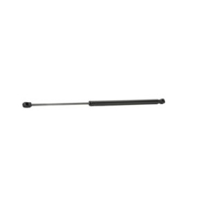 Tailgate Strut - RIDEX 219G0319