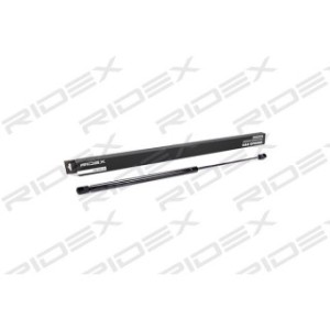 Tailgate Strut - RIDEX 219G0319