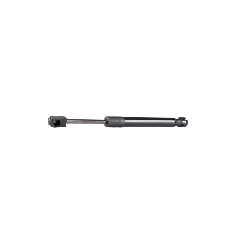 Tailgate Strut - RIDEX 219G0218